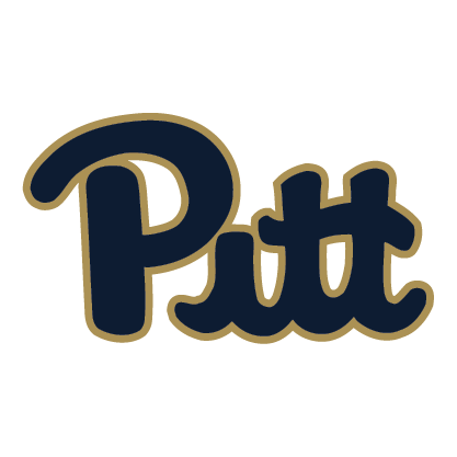 Pittsburgh 2015 Logo