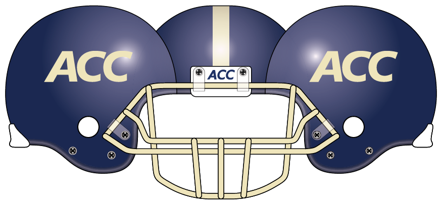 ACC 2013 Blue Helmet