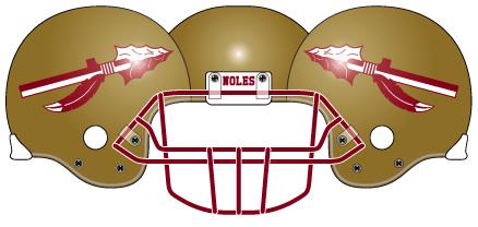 Florida State Gold Helmet