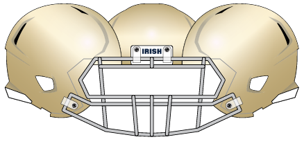 Notre Dame 2010 Helmet Gold