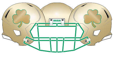 Notre Dame 2013 Helmet Shamrock