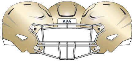 Notre Dame 2017 Helmet Gold