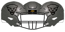 Pittsburgh 2019 Steel Helmet