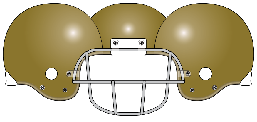 Wake Forest 1969 Gold Helmet