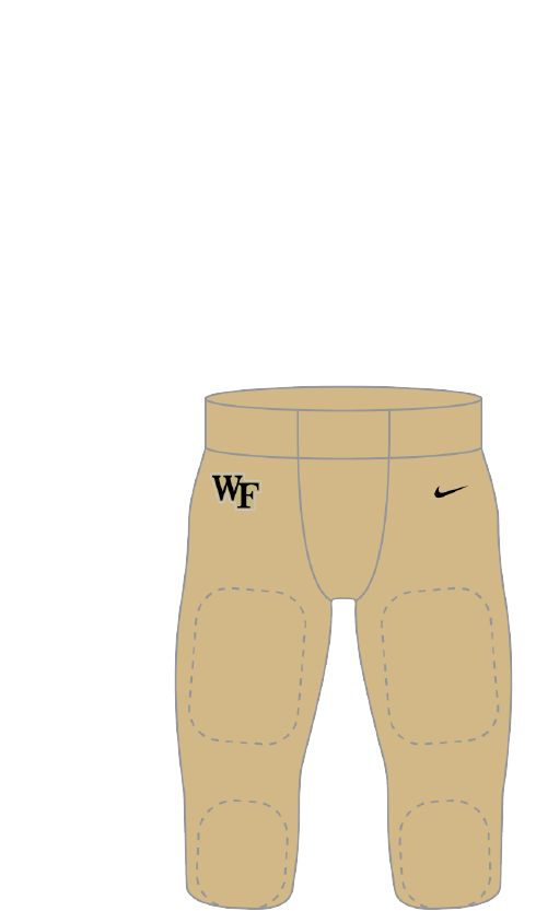 Wake Forest 2019 Gold