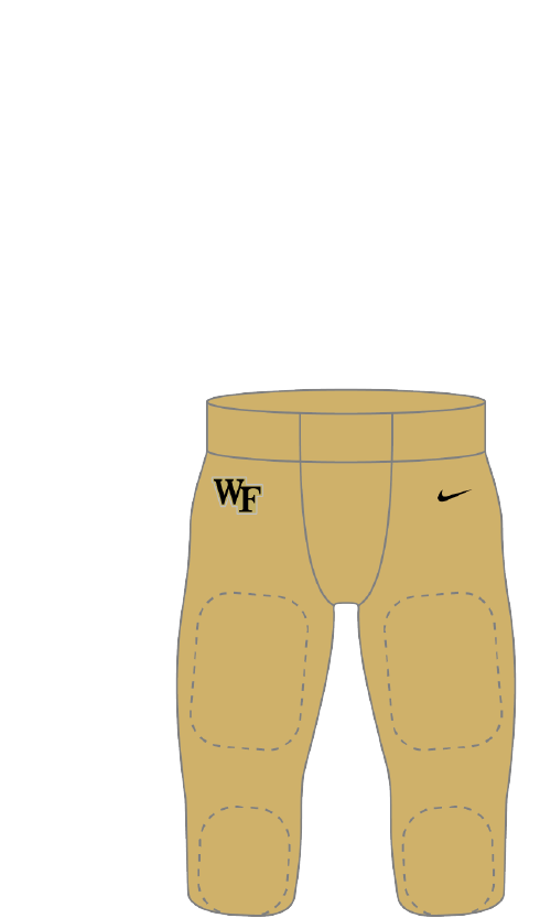 Wake Forest 2023 Gold