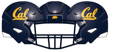 2015 California Blue Helmet