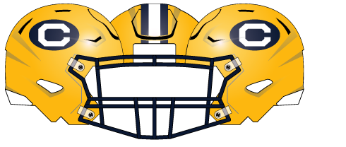 2022 California Gold C Helmet