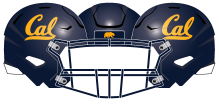 2015 California Blue Helmet