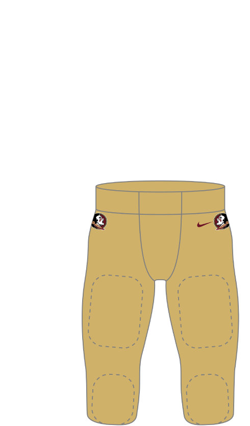 Florida State 2025 Gold