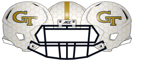 2014 Honey Comb Helmet