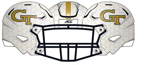 2014 Honey Comb Helmet