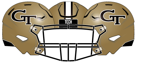 2023 Gold & Black Helmet