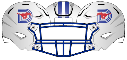 2021 White Helmet Blue Mask D Blue Stripe