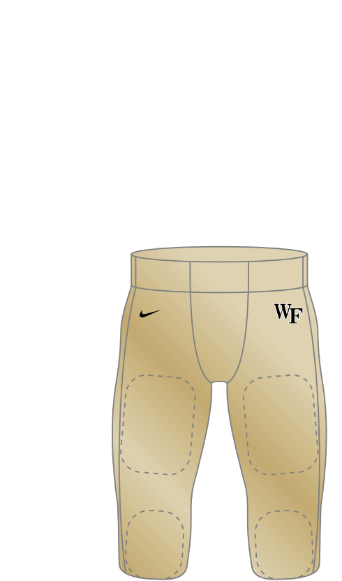 Wake Forest 2002 Gold